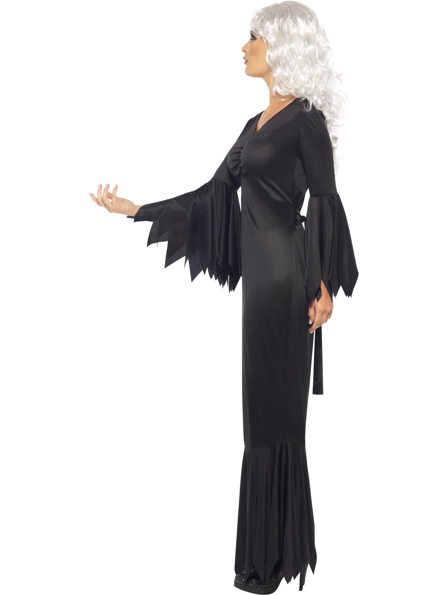 Vamp Costume Black Gown And Veil