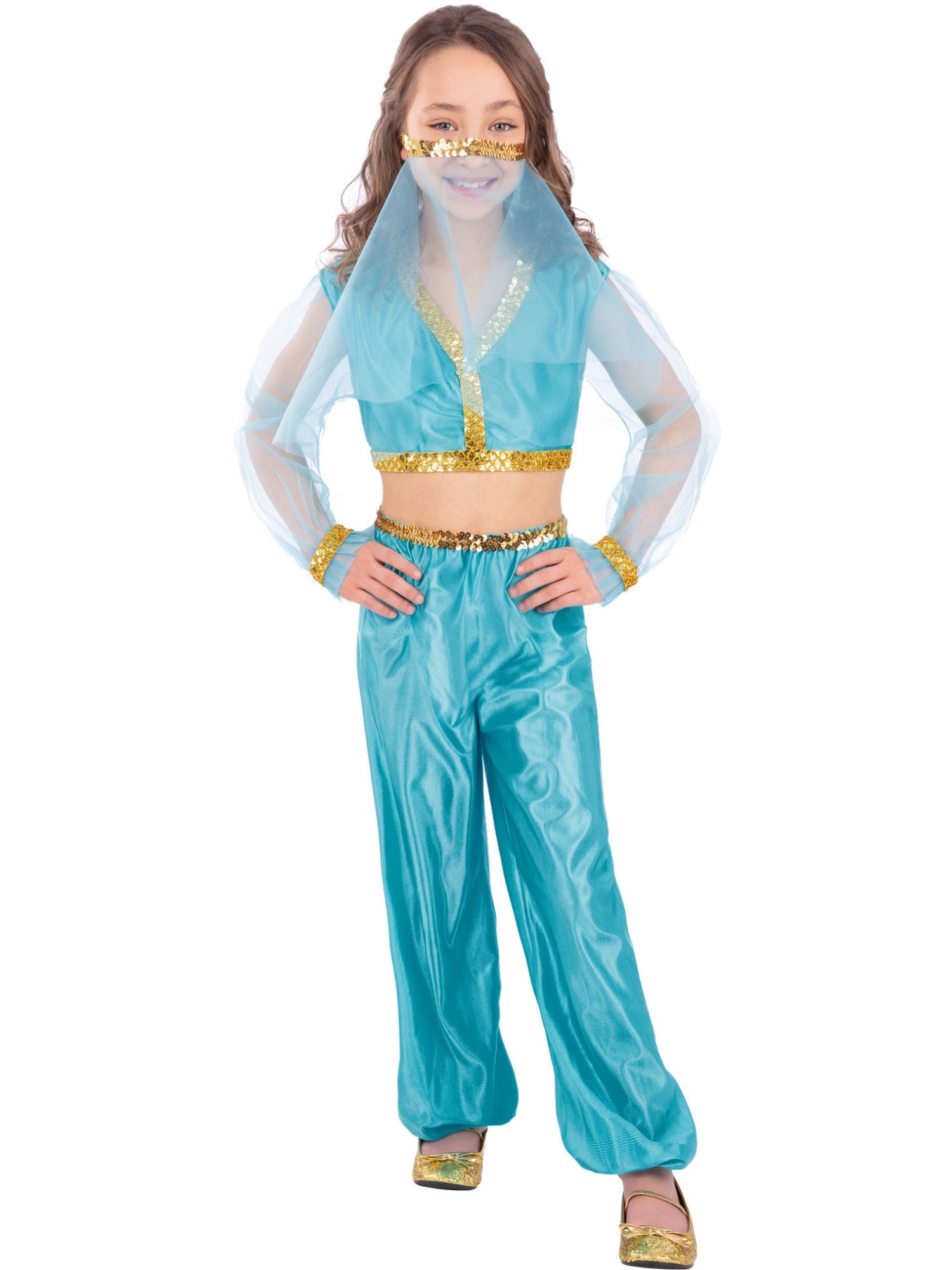 Arabian Princess Costume, Child