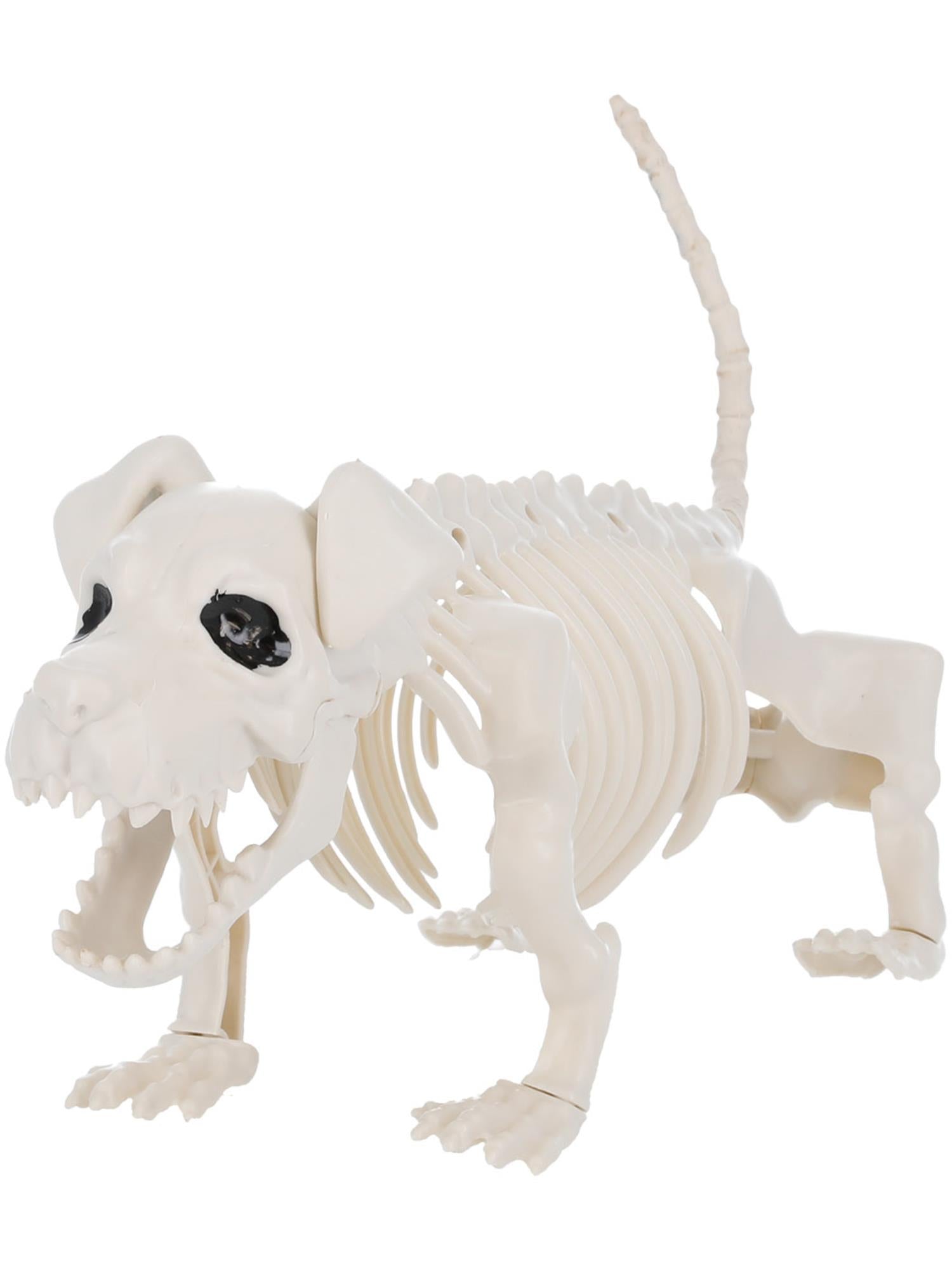 Dachshund Dog Skeleton Prop