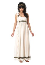 Olympic Goddess Costume, Greek Fancy Dress