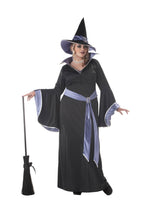 Incantasia Glamour Witch Plus Size Costume