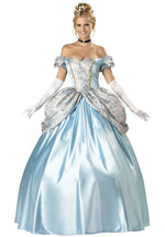 Enchanting Princess Elite Costume