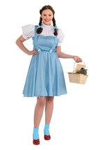 Dorothy Costume, Plus Size