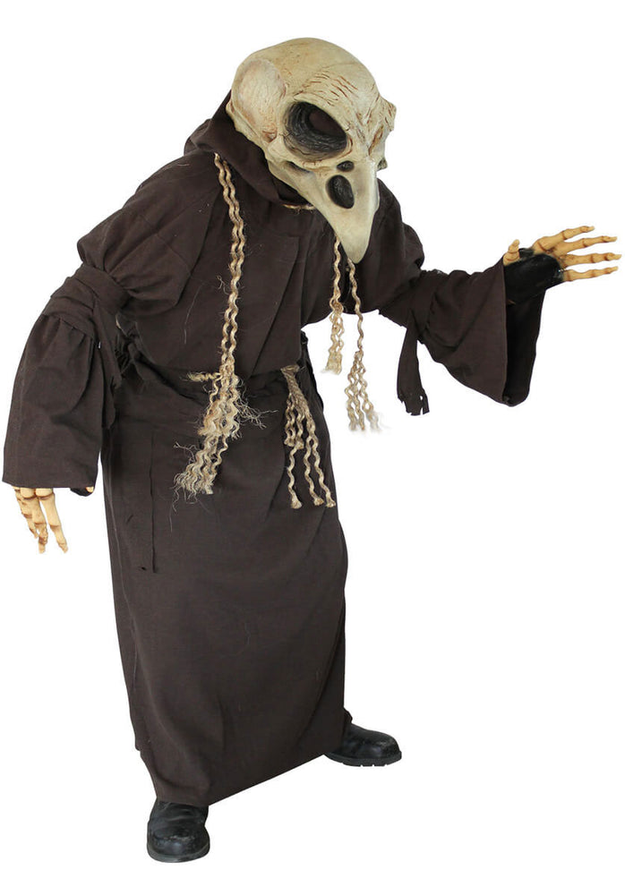Crow Costume, Halloween costume