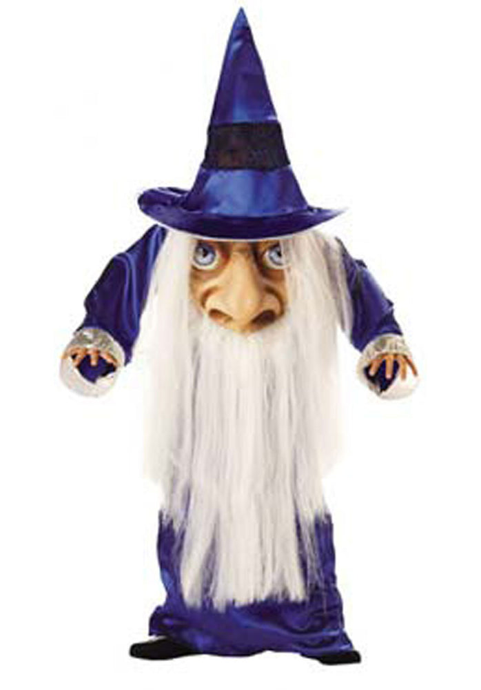 Mad Hatter Wizard Costume