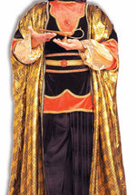 Royal Sultan Costume