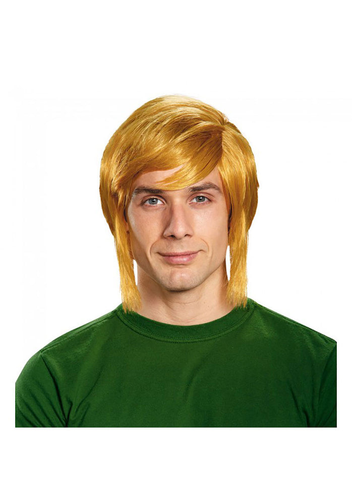 Legend of Zelda Link Wig