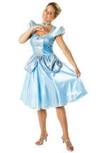 Disney Cinderella Costume, Princess Fancy Dress