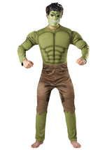 Muscle Chest Hulk Costume, Comic Fancy Dress