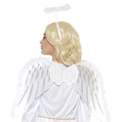 Angel Wings & Fairy Sets