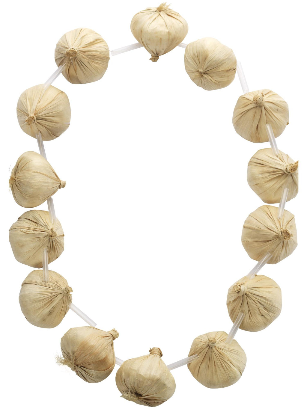 Garlic Garland