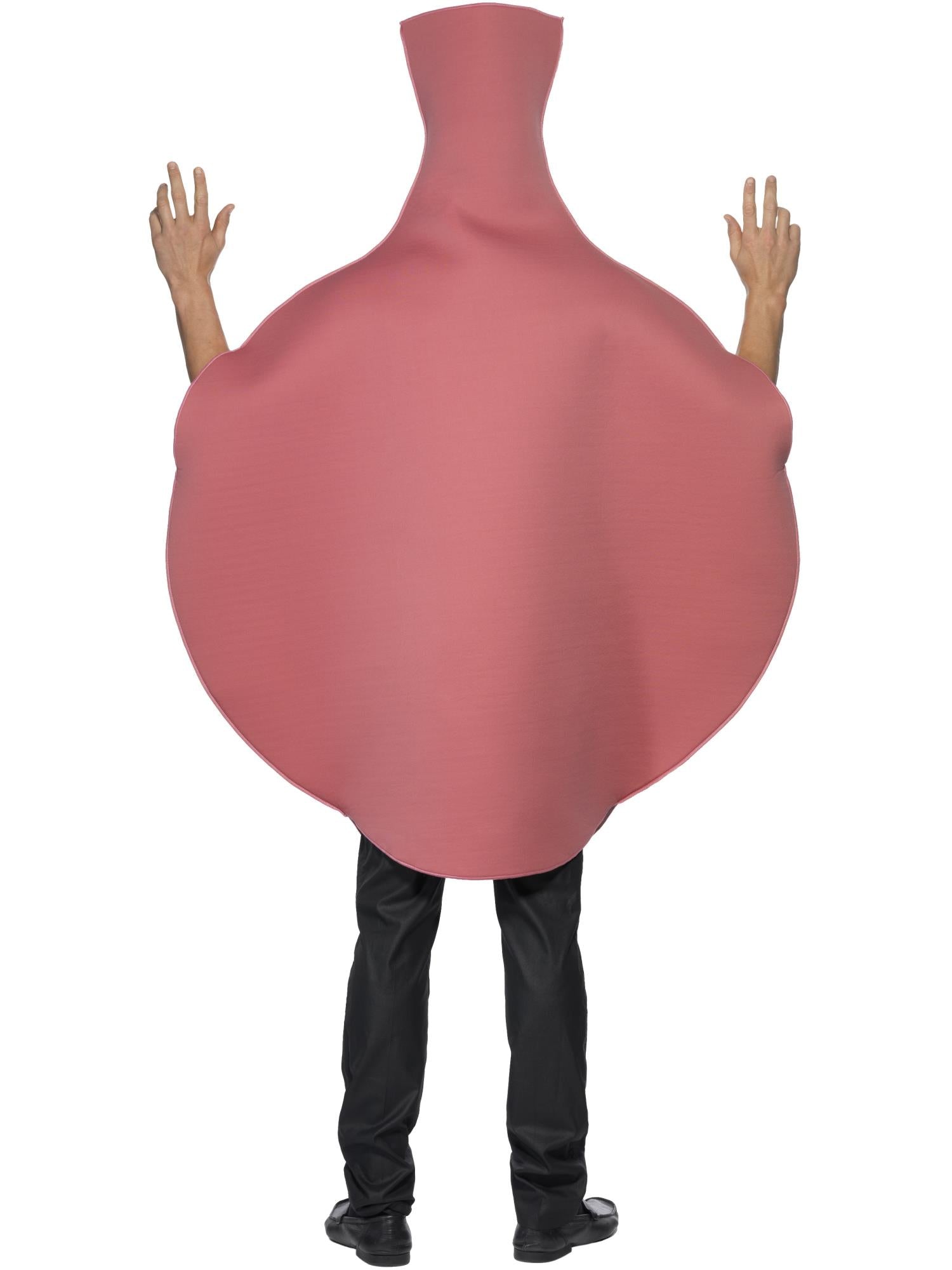 Whoopie Cushion Costume
