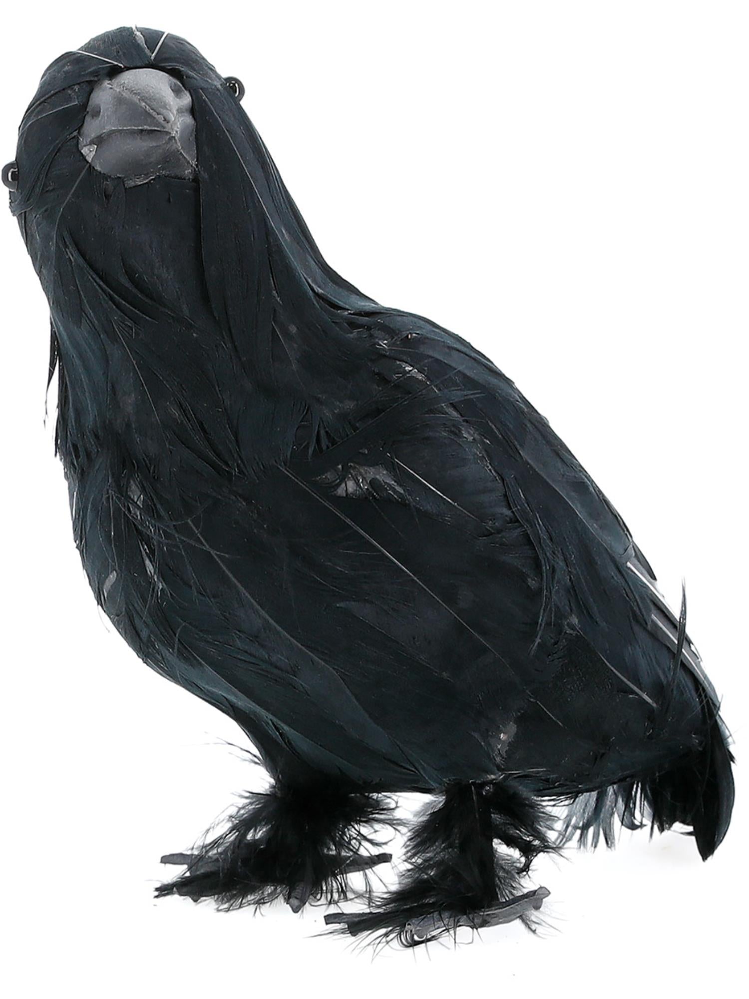 Crow Feathered