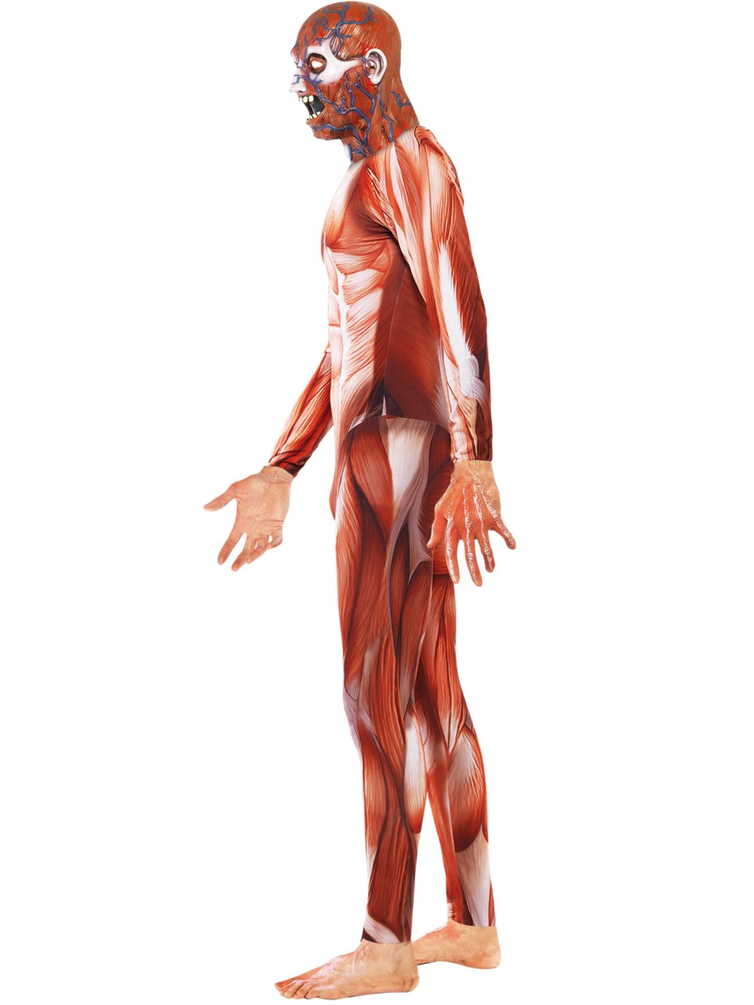 Anatomy Man Costume