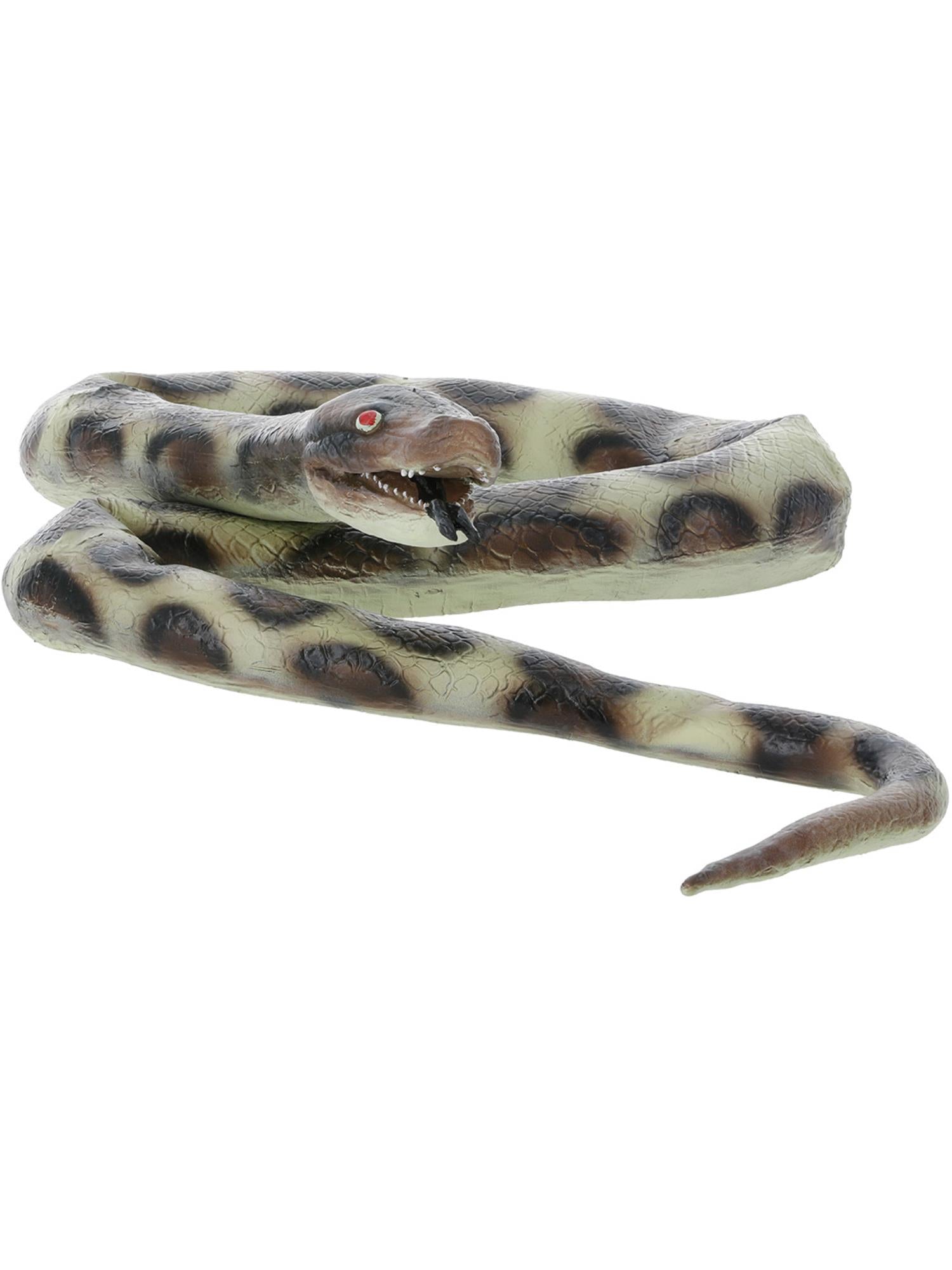 Snake, Looks Like A Python
