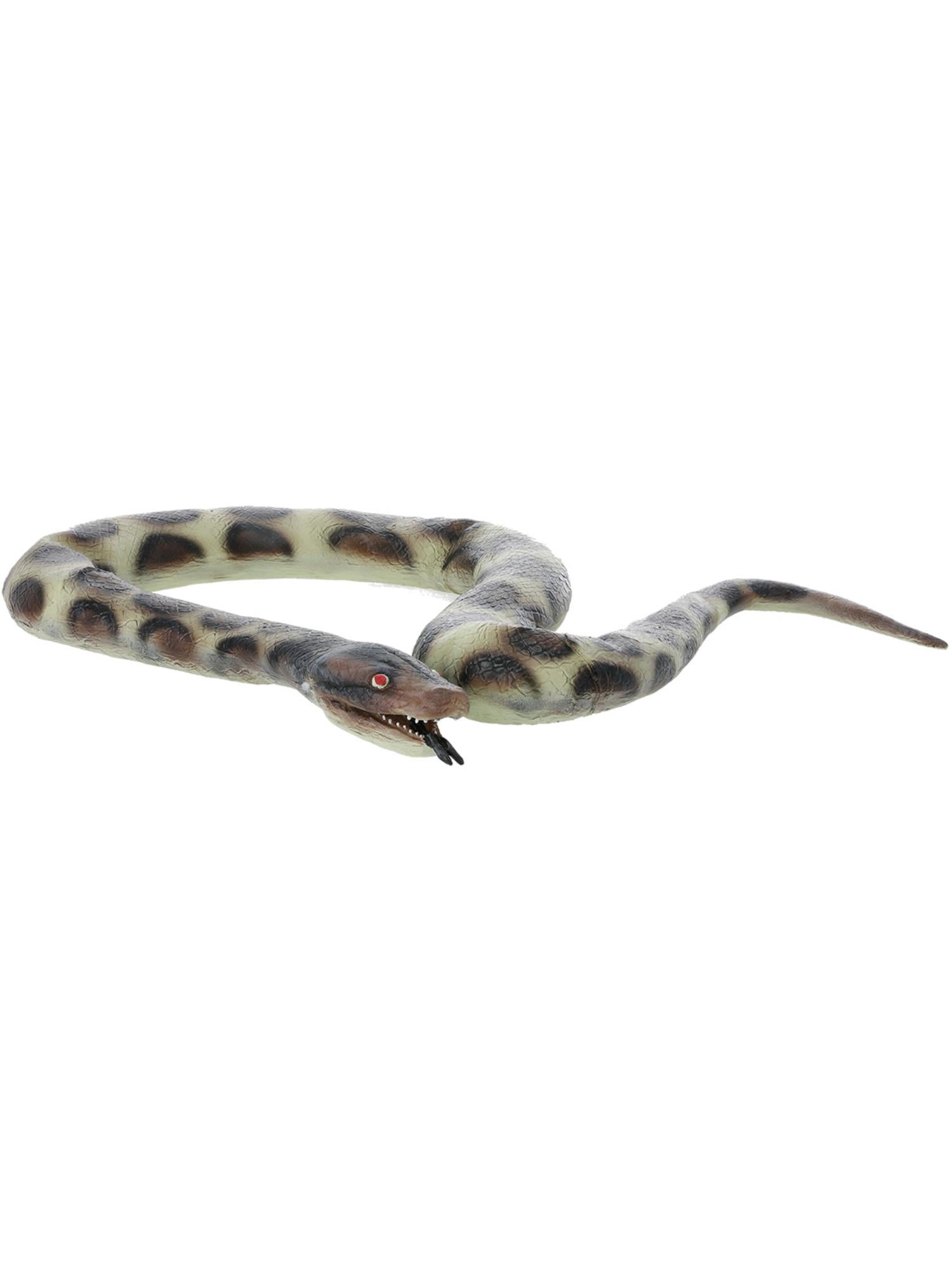Snake, Looks Like A Python