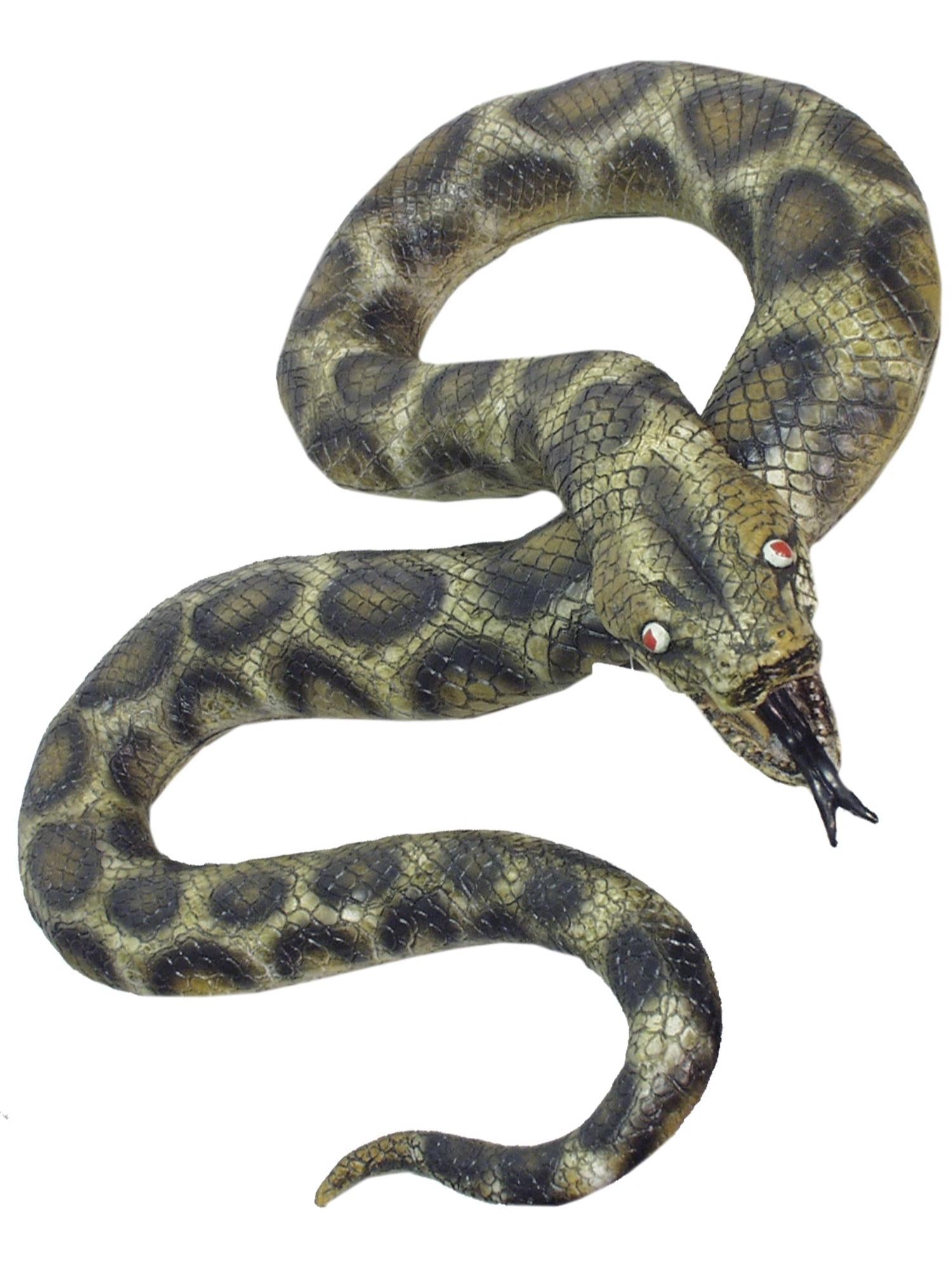 Snake, Looks Like A Python