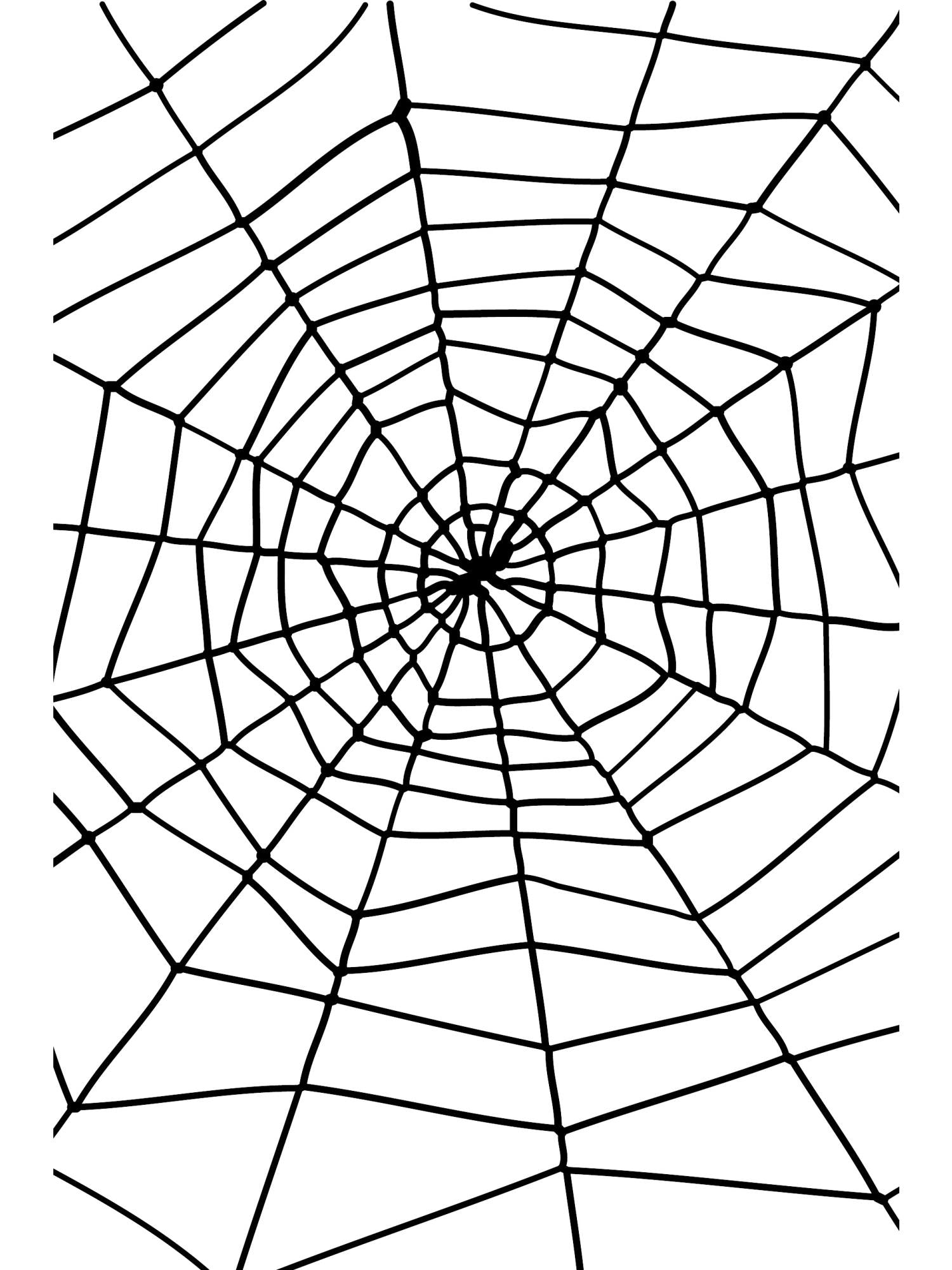 Spider Web