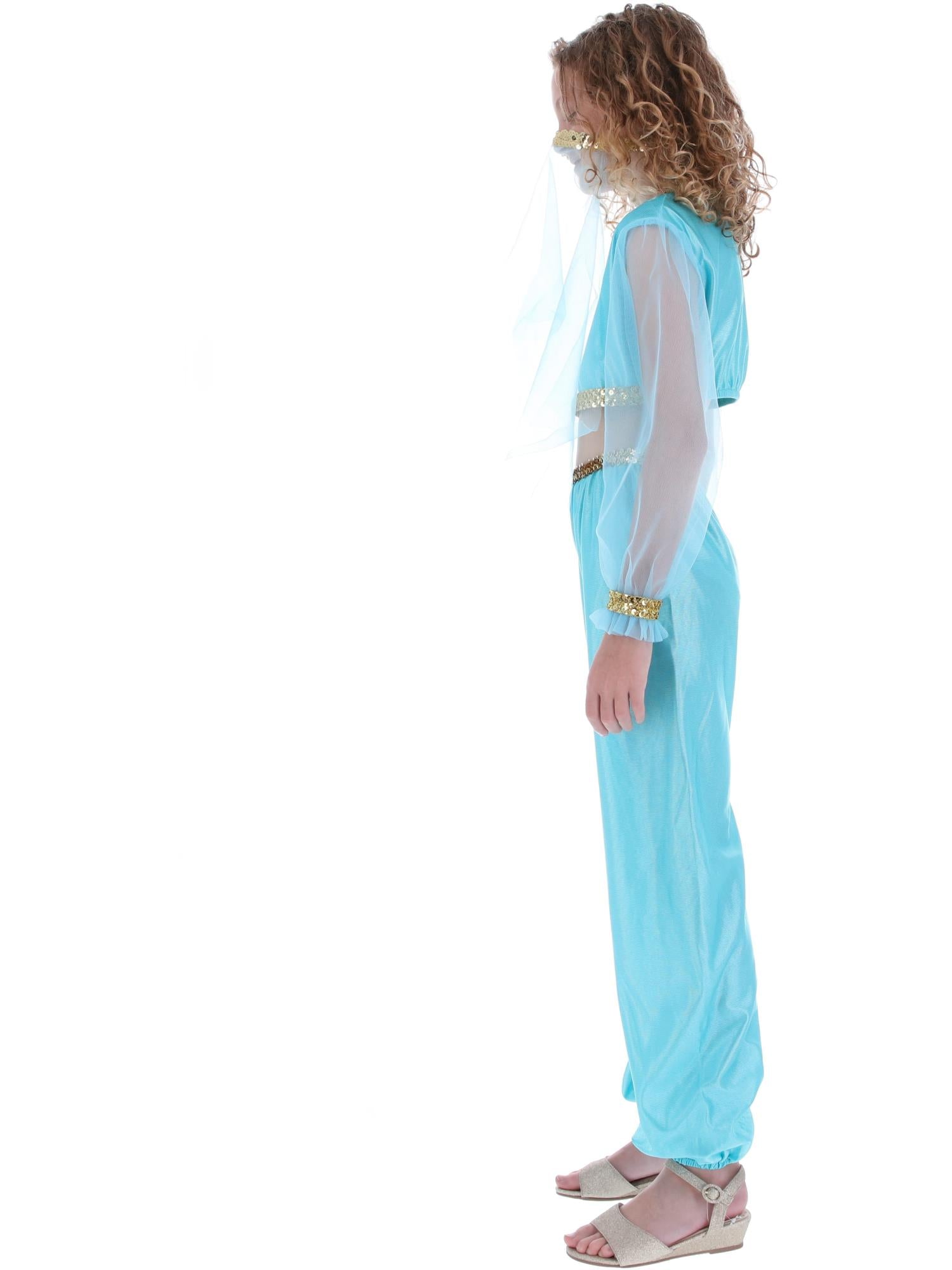 Arabian Princess Costume, Child