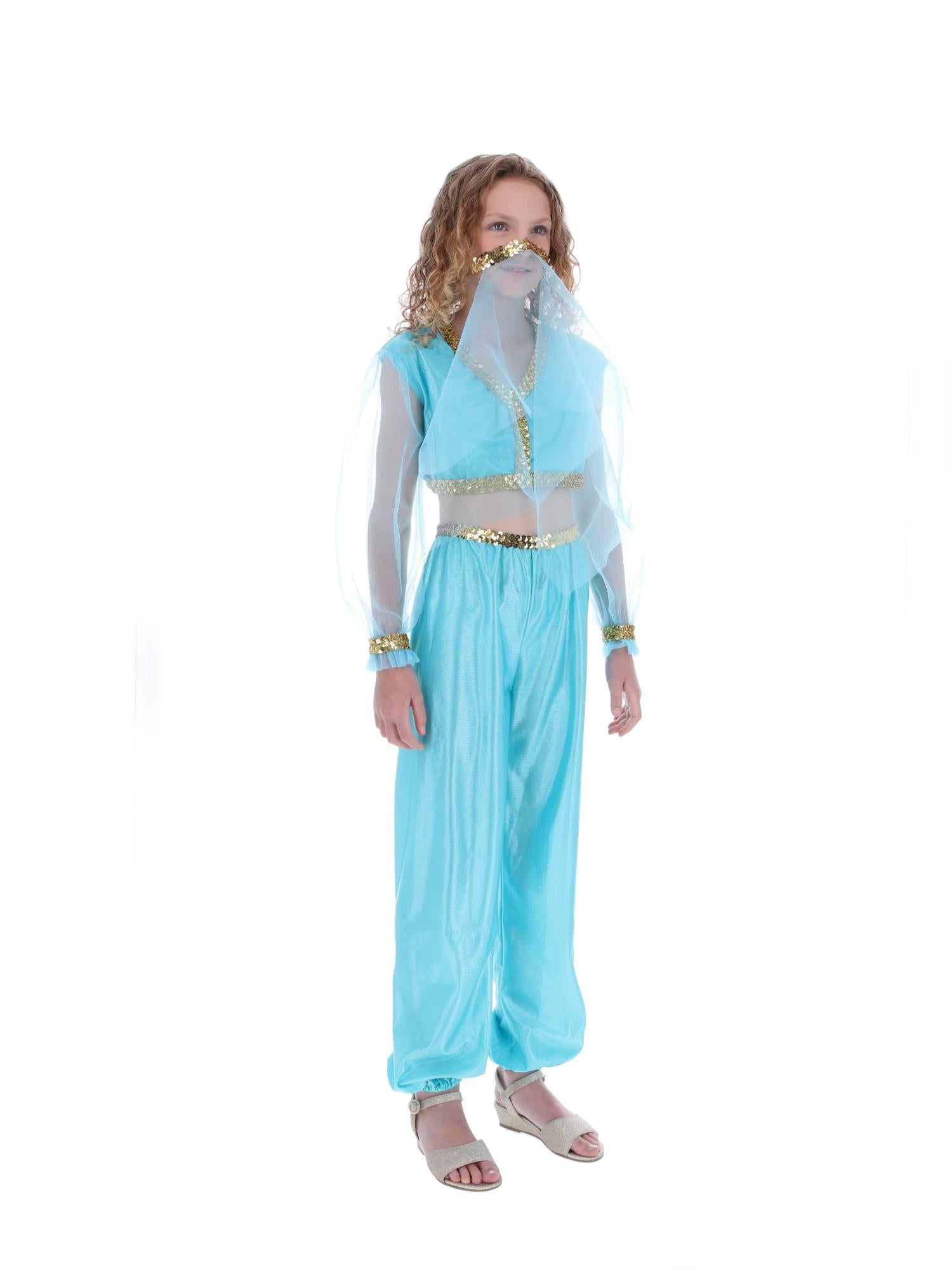 Arabian Princess Costume, Child