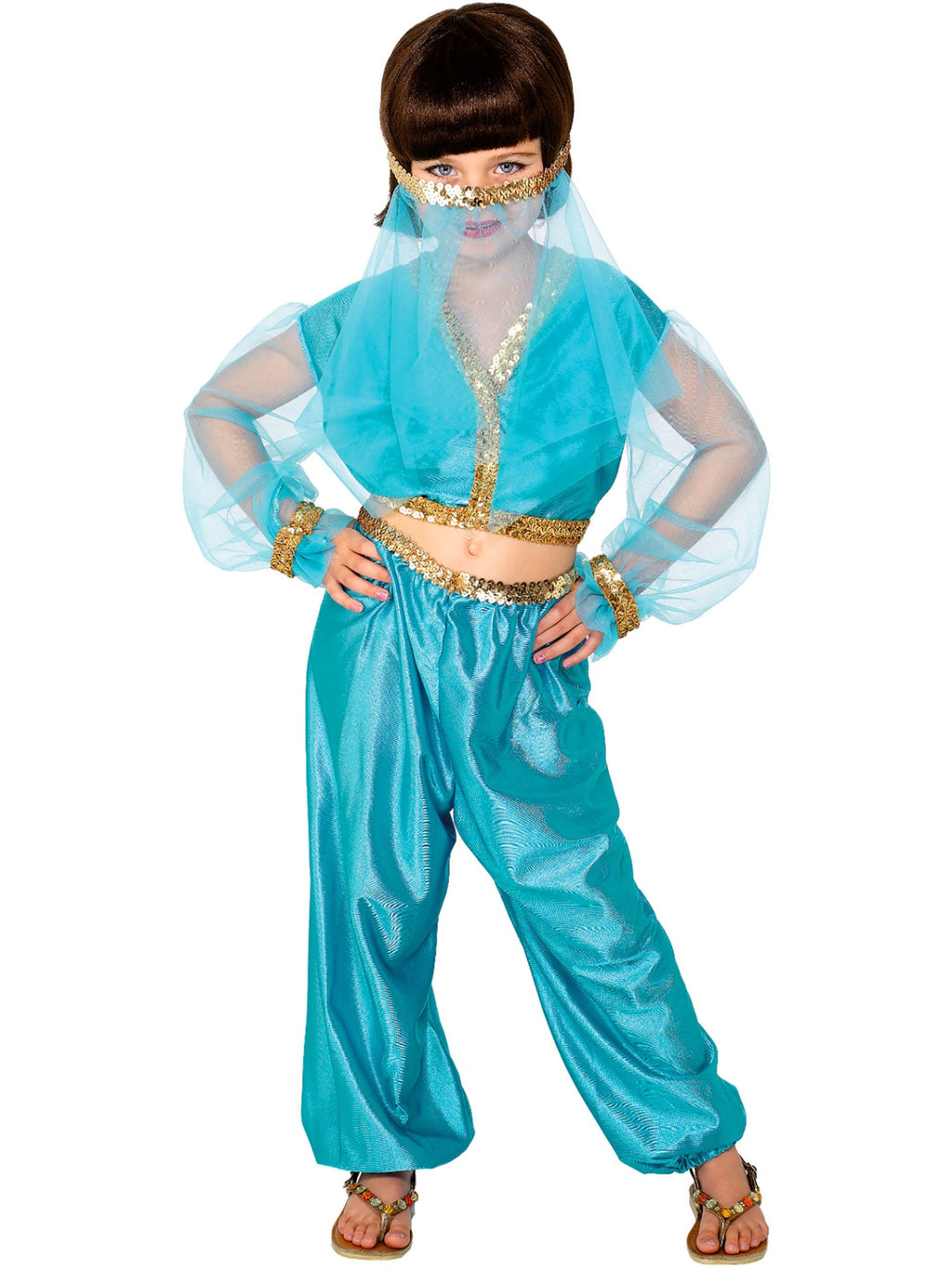 Arabian Princess Costume, Child