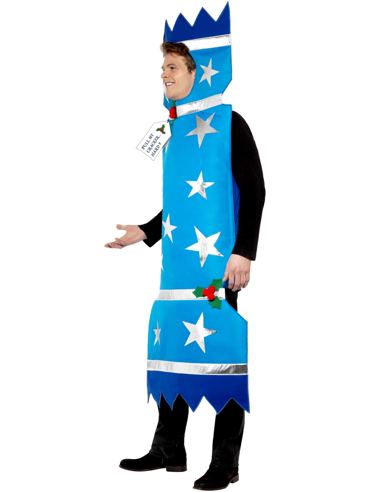 Christmas Cracker Costume