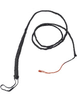 Long Leather Whip