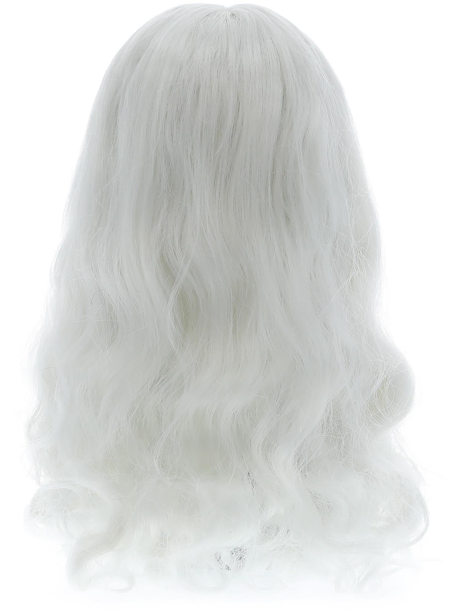 Santa Dress Up Kit - Wig and Beard