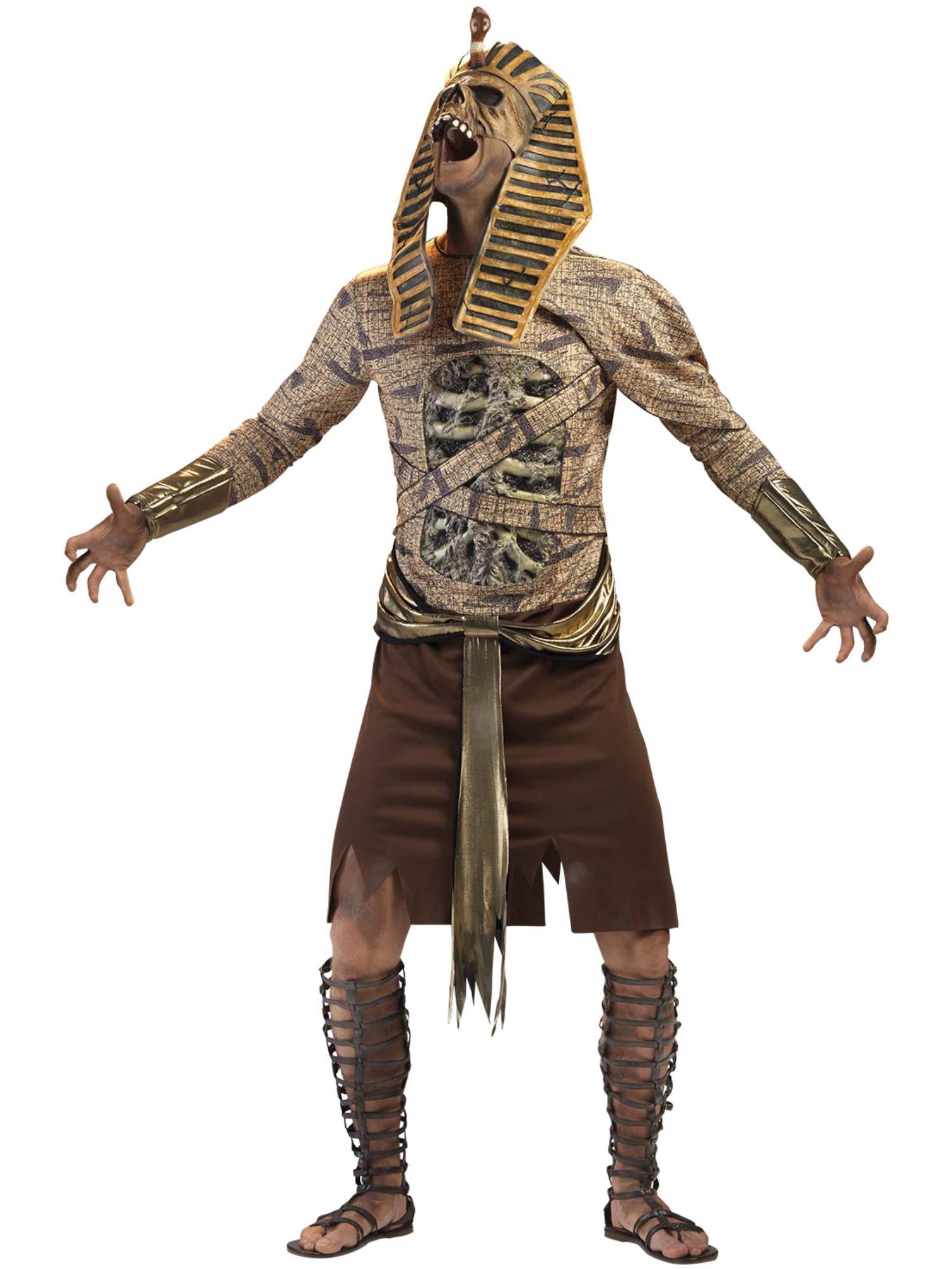 Zombie Pharaoh Costume