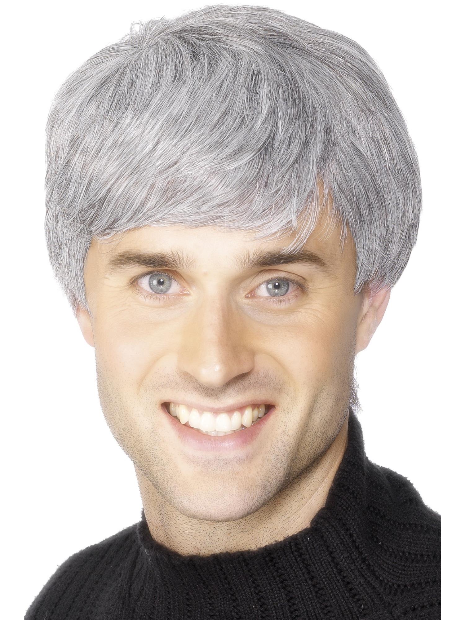 Mens Corporate Grey Wig