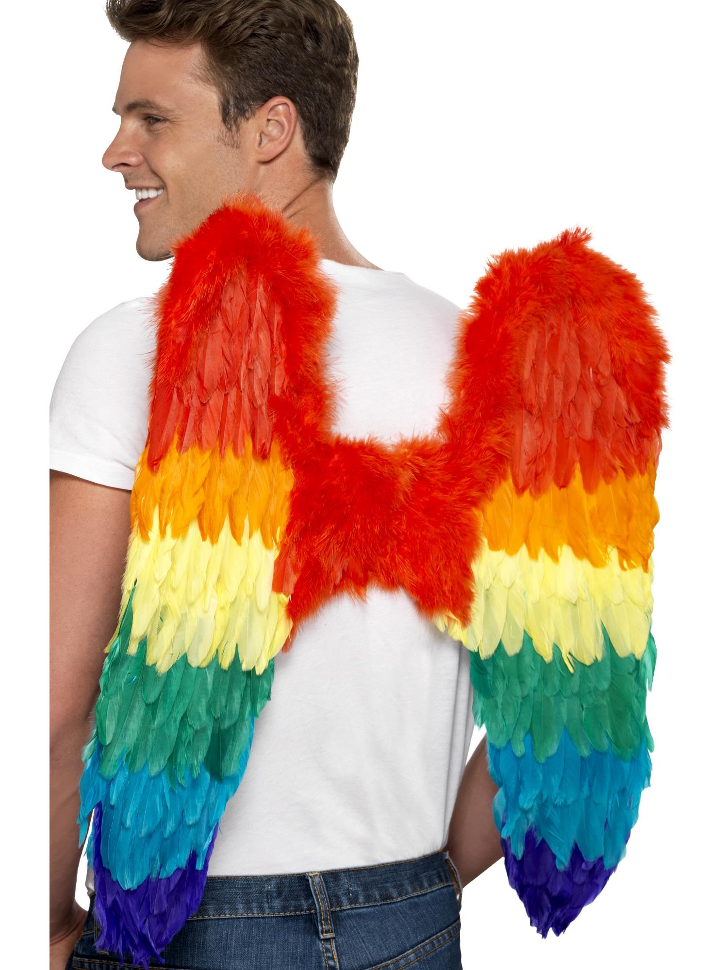 Feather Wings Rainbow 60cm x 60cm