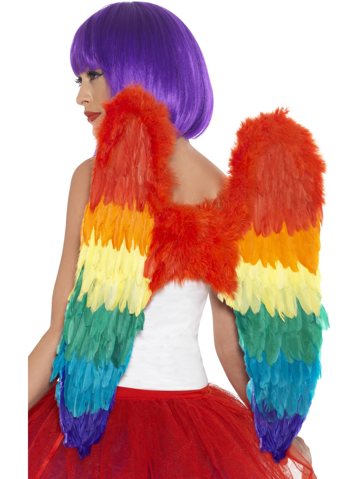 Feather Wings Rainbow 60cm x 60cm
