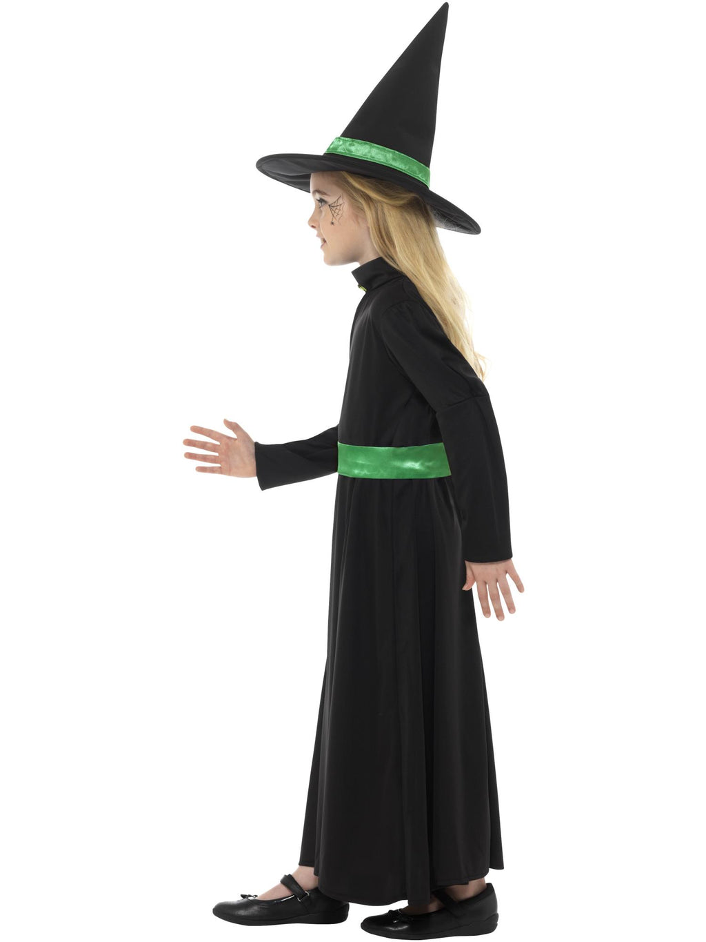 Wicked Witch Costume