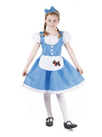 Dorothy Costume