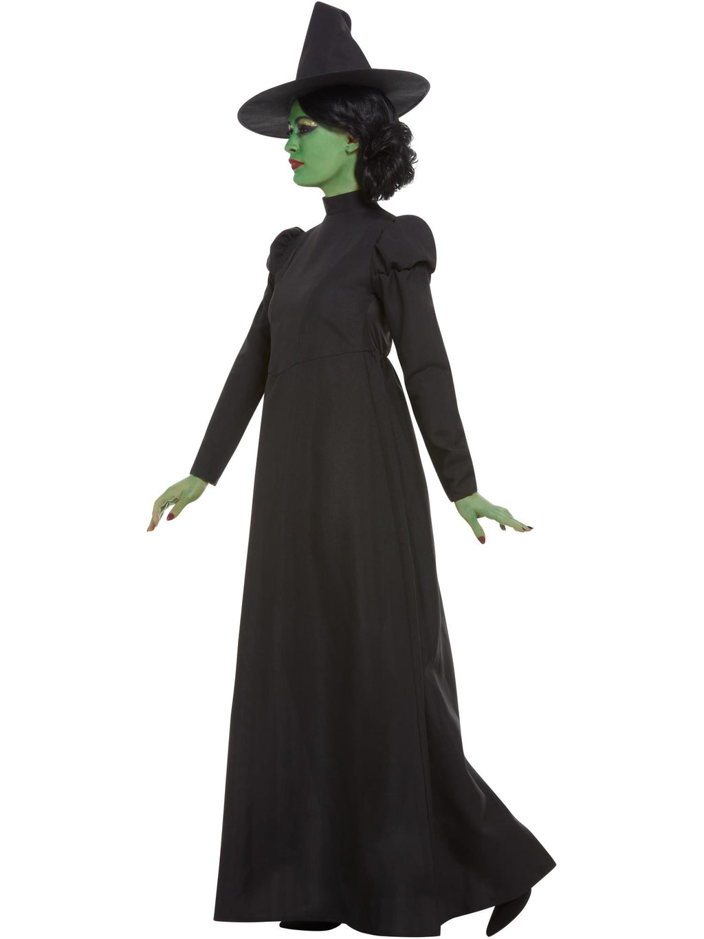 Wicked Witch Costume