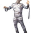 Universal Monsters Mummy Costume, Adult