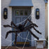 Outdoor Giant Spider & Web