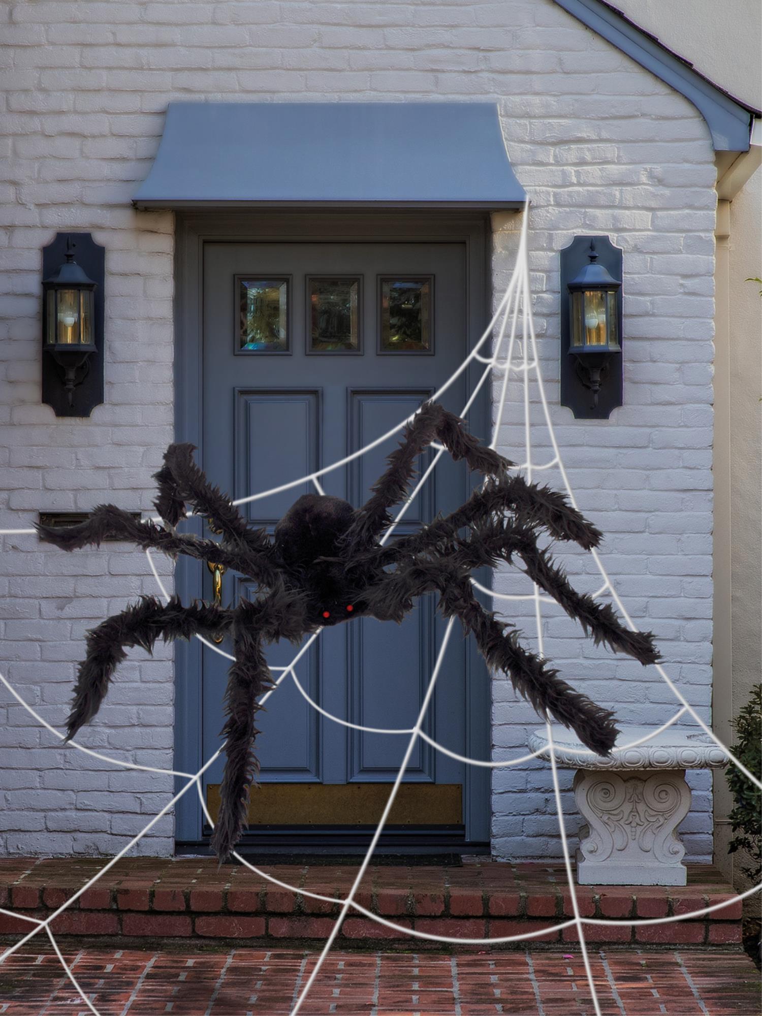 Outdoor Giant Spider & Web