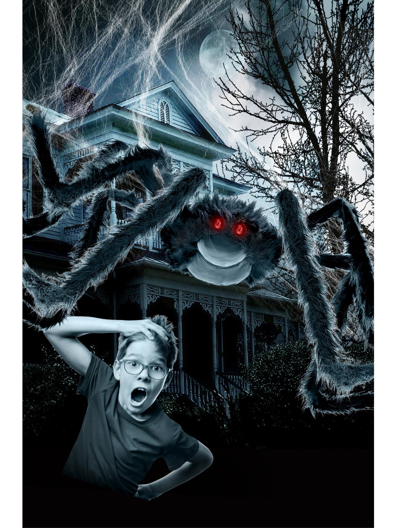 Outdoor Giant Spider & Web