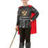 Boys Deluxe Knight Costume Alt1