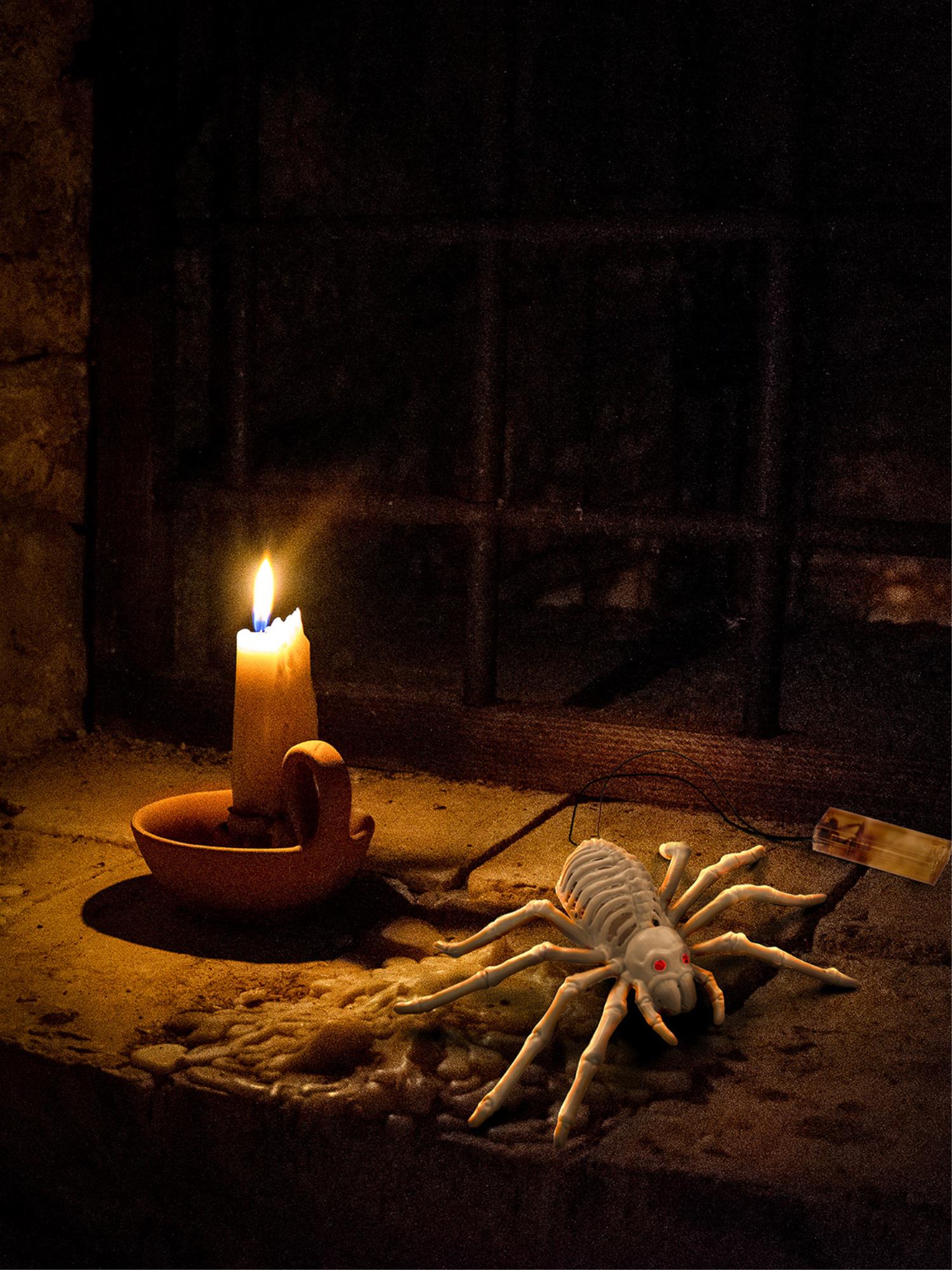 Light Up Spider Prop