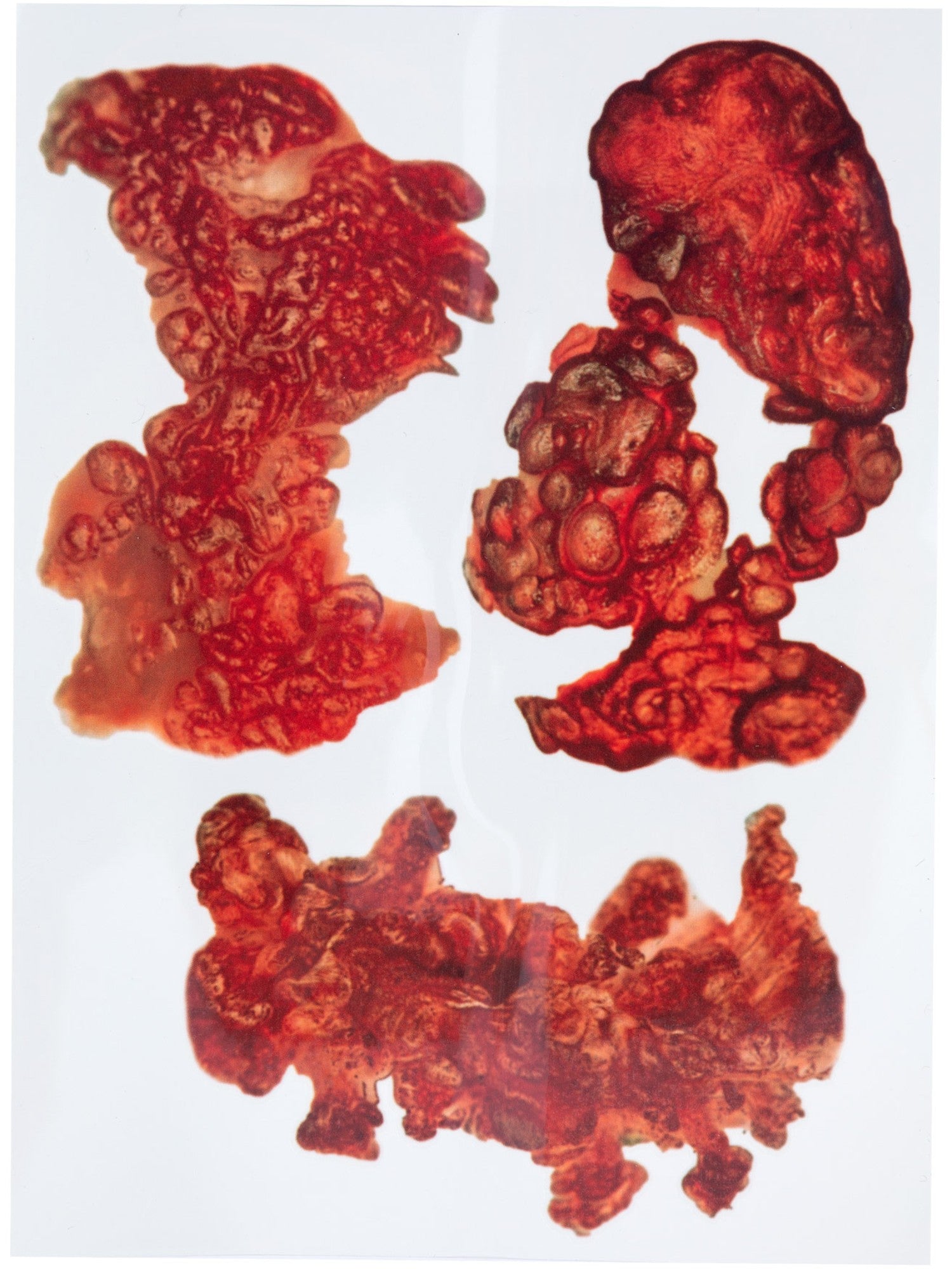 Smiffys Make-Up FX, Burnt Skin Tattoo Transfers