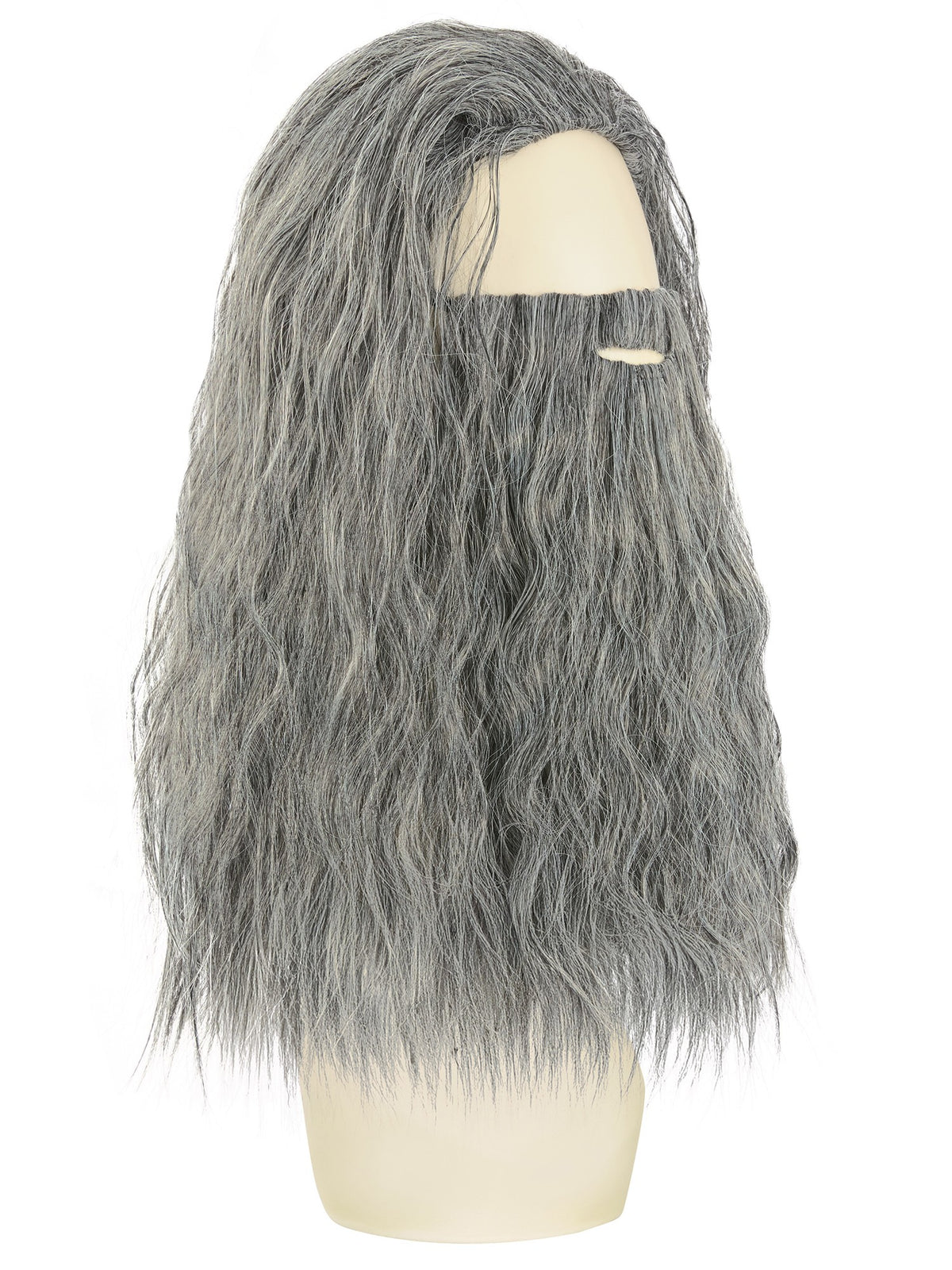 Sorcerer Wig & Beard Set Grey