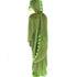 Crocodile Costume