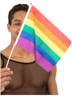 Hand Held Rainbow Flags, 45x30cm, 12Pk