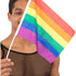 Hand Held Rainbow Flags 45x30cm 12Pk