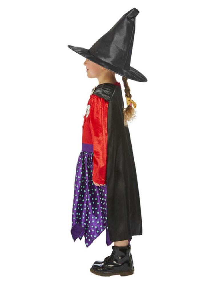 Julia Donaldson Room On The Broom Costume Side