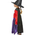 Julia Donaldson Room On The Broom Costume Side