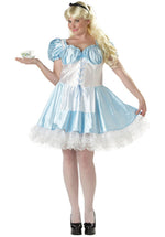 Alice Plus Size Fancy Dress Costume