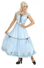Screen Alice Fancy Dress Costume